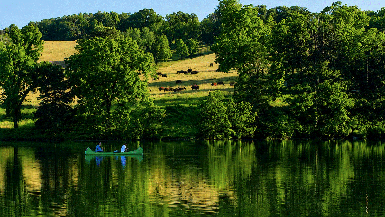 A canoe on a calm lake
