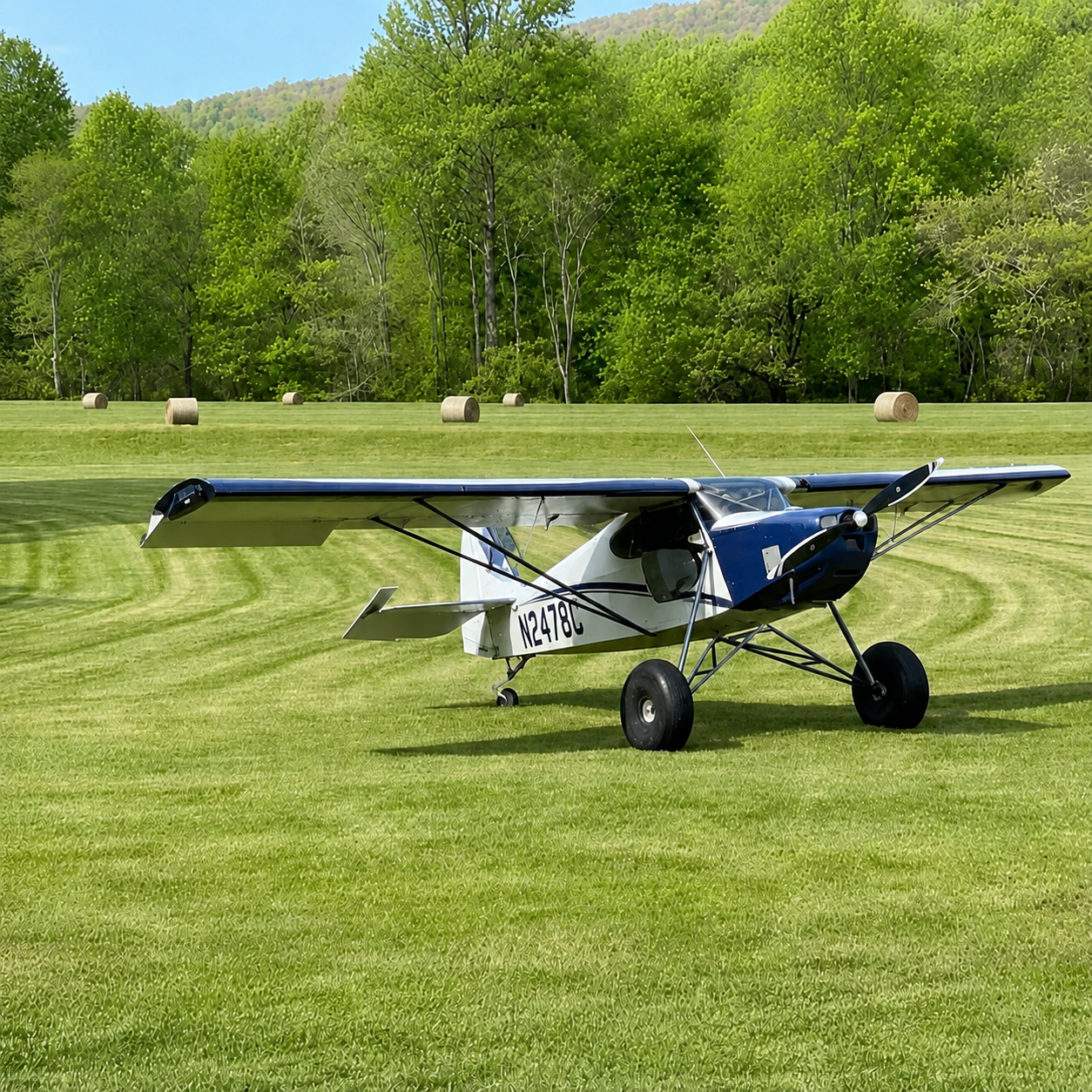 Aircraft on the grass airstrip